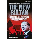 The New Sultan: Erdogan and the Crisis of Modern Turkey