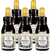 Official Distributor - 5 Bottles of Apiario Silvestre Brazilian Green Bee Propolis Liquid Glycolic Extract-Non Alcoholic, Wax Free, Sugar Free (PG)
