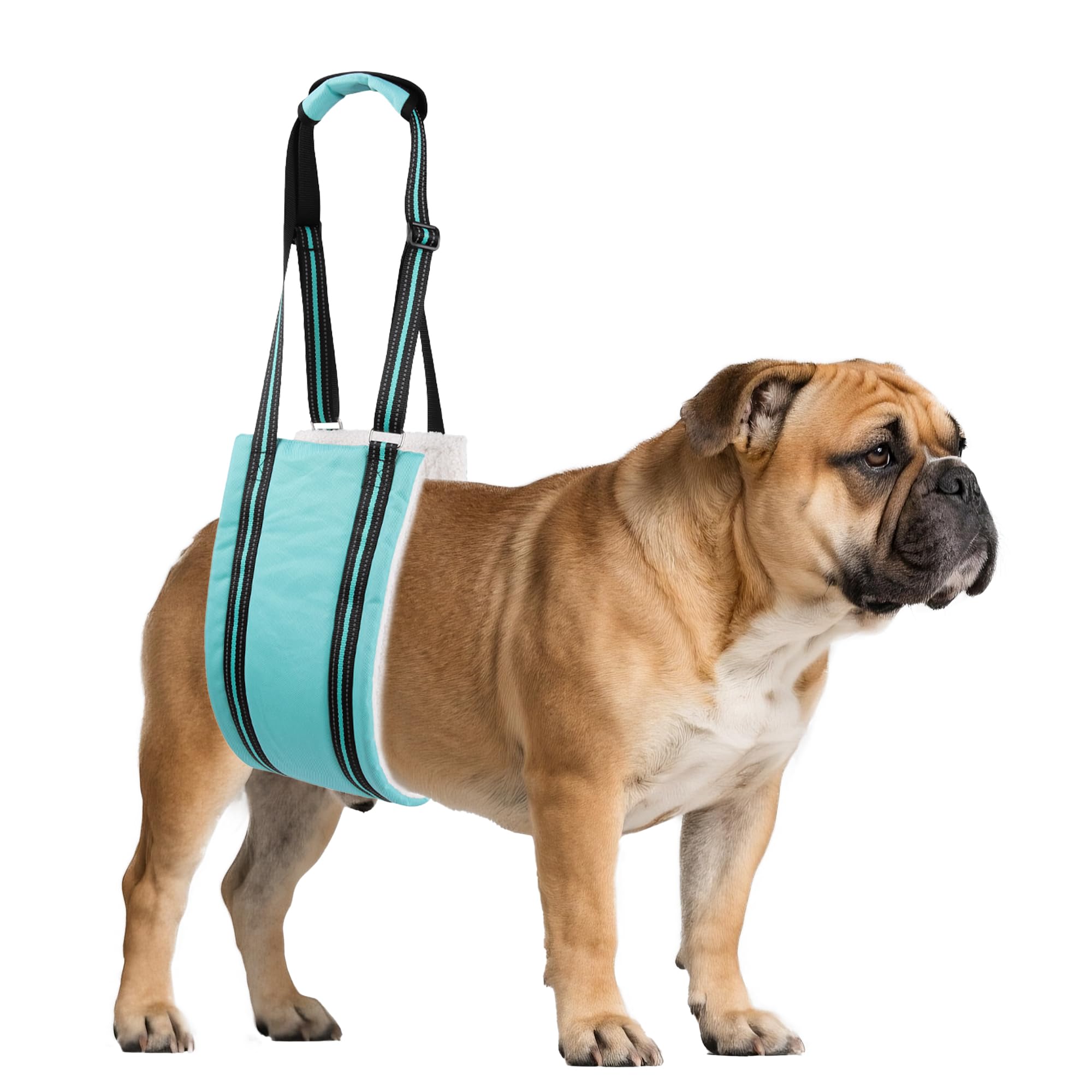 Photo 1 of AIITLE Dog Slings for Small Dogs - Adjustable Hind Leg & Hip Support Harness, Plush Rehab Lift Aid with Reflective Straps, Assist Elderly/Injured/Post-Surgery Dogs with Mobility Issues (Turquoise, S)