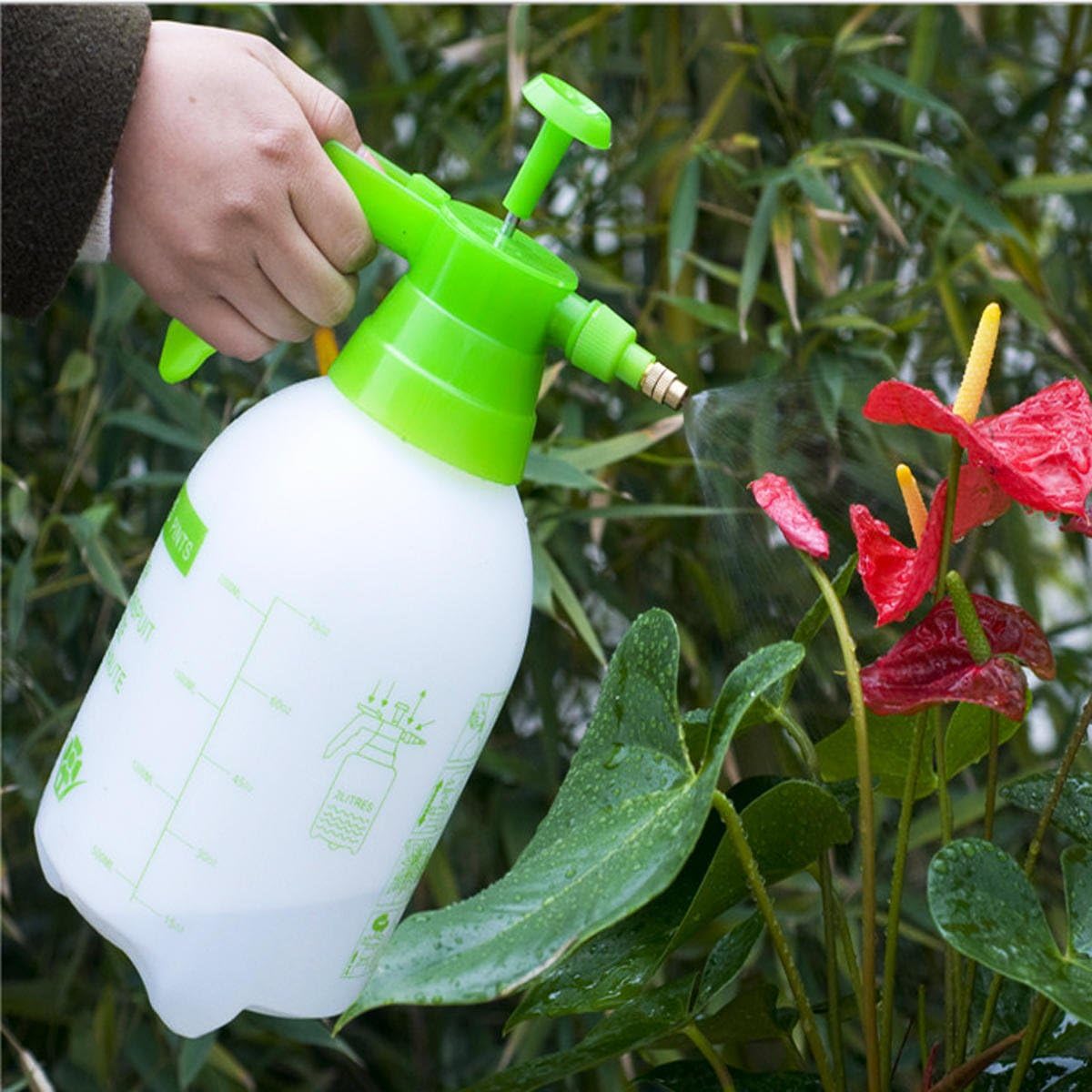 Raitron Pump Pressure Water Sprayer 1.5L Hand Held Garden Sprayer