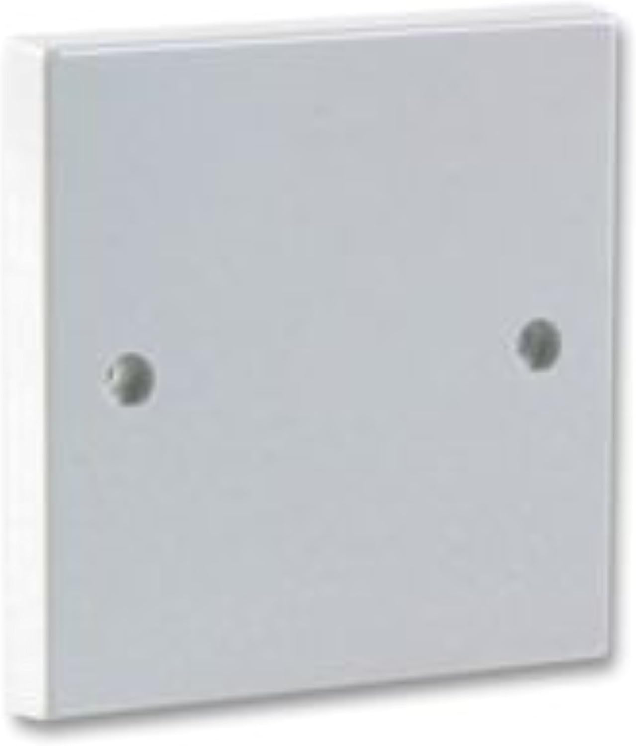 White Gloss Plastic Finish rhinocables® Double Electrical Blanking