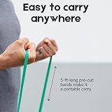 Theraband Resistance Bands Set Professional Latex-Free Upper Lower Body Exercise view 2