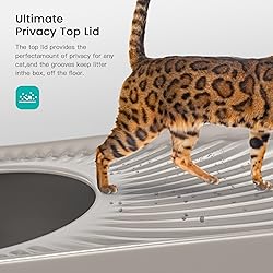 WoofiGo Stainless Steel Cat Litter Box, XL Top