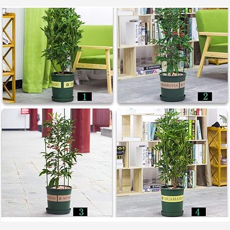 ASLEAK - Anillo de Soporte para Plantas de jardín, tamaño Grande ...