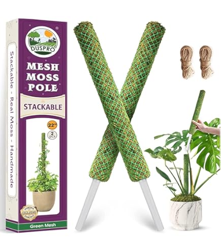 Fumiti】21-22 MOSS STICK【70 SW Fumiti】21-22 MOSS STICK【70 SW