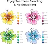 Ohuhu 80 Color Alcohol Markers Dual Tips AP Certified Art Set view 4