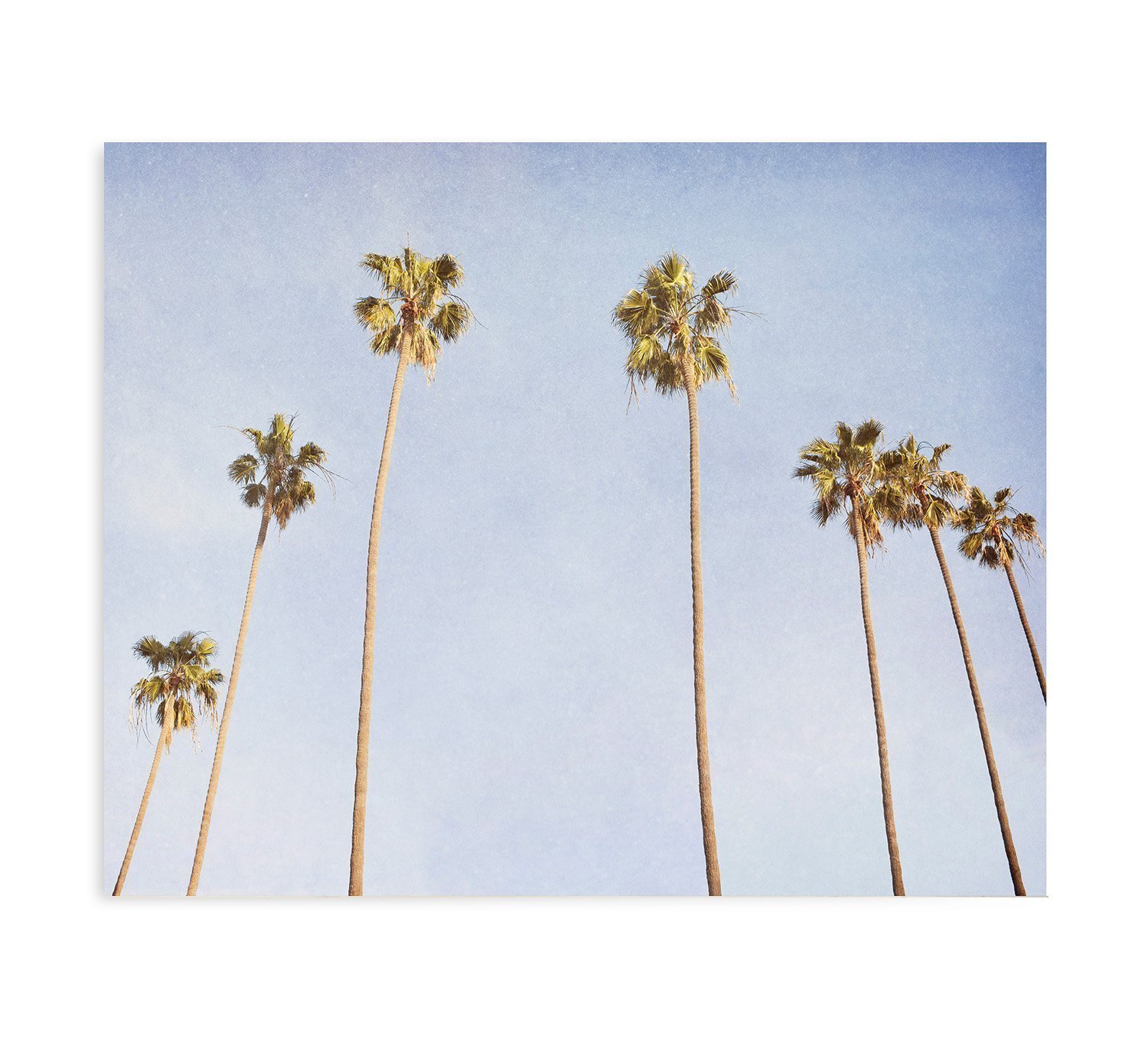 Boho Palm Print Tropical Poster Instant download Hawaii ...