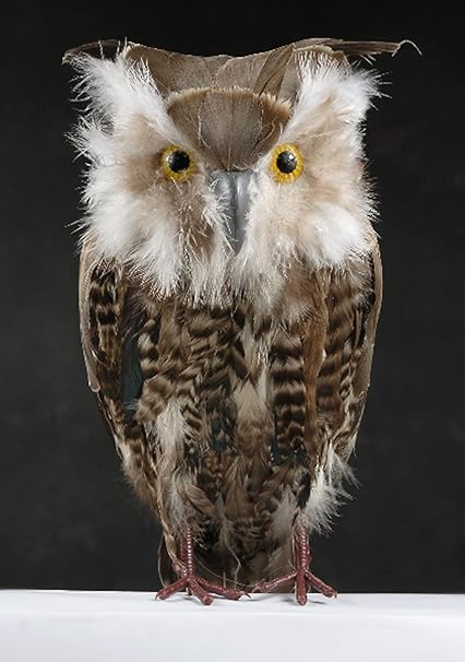 Amazon Com Feathered Owl 14 Brown Barn Owls Natural Feathers