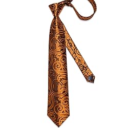 DiBanGu Silk Paisley Ties for Men Woven Necktie and