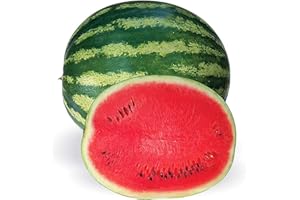 MARDE ROSS & COMPANY Crimson Sweet Heirloom Watermelon Seed - Not Ripe Fruit but Seeds to Produce That Fruit!