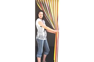 Holland Plastics Original Brand Slat Type Door Curtain Bug Fly Strip Blind - Summer Beach