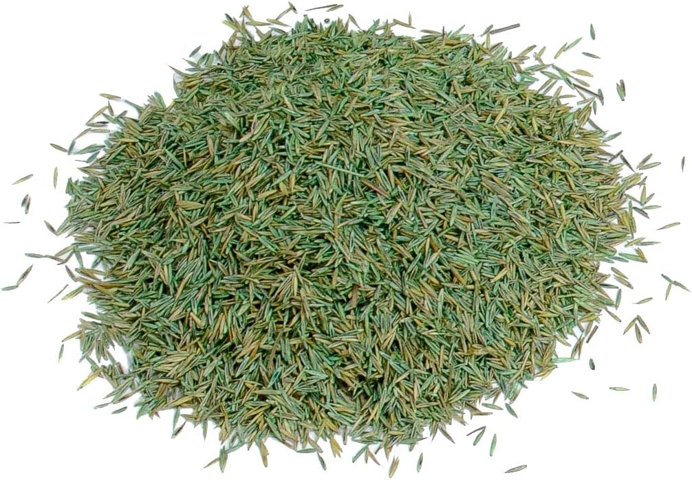 Gro-Sure Finest Lawn Seed, 30 m2, 900 g, Green - Image 5