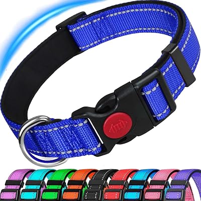 ATETEO Reflective Dog Collar with Safety Locking Buckle Medium Blue 13-19.7in