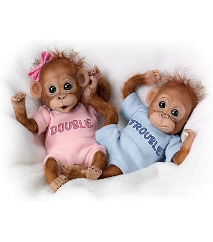 Amazon.com: The Ashton-Drake Galleries Coco So Truly Real Baby