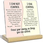Mental Health Things Acrylic Plaque Gift for Women, I Can Control, Mindfulness Gift for Therapy Office, School Counselor Sign Therapist Office Art Decorations