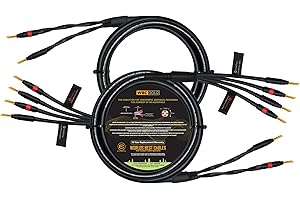 WORLDS BEST CABLES 6 Foot WBC-GOLD-LOCAP-SPKR-12 AWG - Low-Capacitance - Low-Inductance - High Purity OFC - Audiophile HiFi B