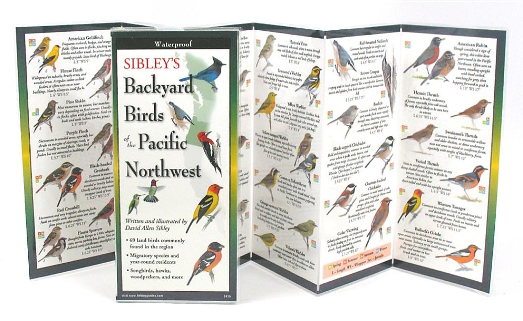 Sibley S Back Birds Of Pacific Northwest Foldingguides David