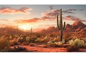 Riivvdise Desert Reptile Habitat Backdrop Sunset Desert Landscape Saguaro Cactus Gobi Plants Terrarium Background Sunset Sky Rugged Terrain Desert Colors Jungle Landscape Tank Backdrop Vinyl 36x18in