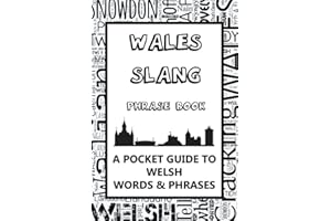 Wales Slang Phrase Book. A Pocket Guide To Welsh Words & Phrases: A fun mini dictionary to learn yourself the Welsh dialect –