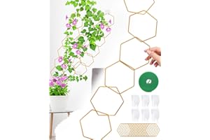 SOUSAC 18 Pcs Chain Trellis for Climbing Plants, Potted Houseplant Accessories for Hoya, Ivy, Monstera, 6-Corner DIY Wall Trellis Plant Support with Hooks and Ties Indoor Outdoor(Gold)