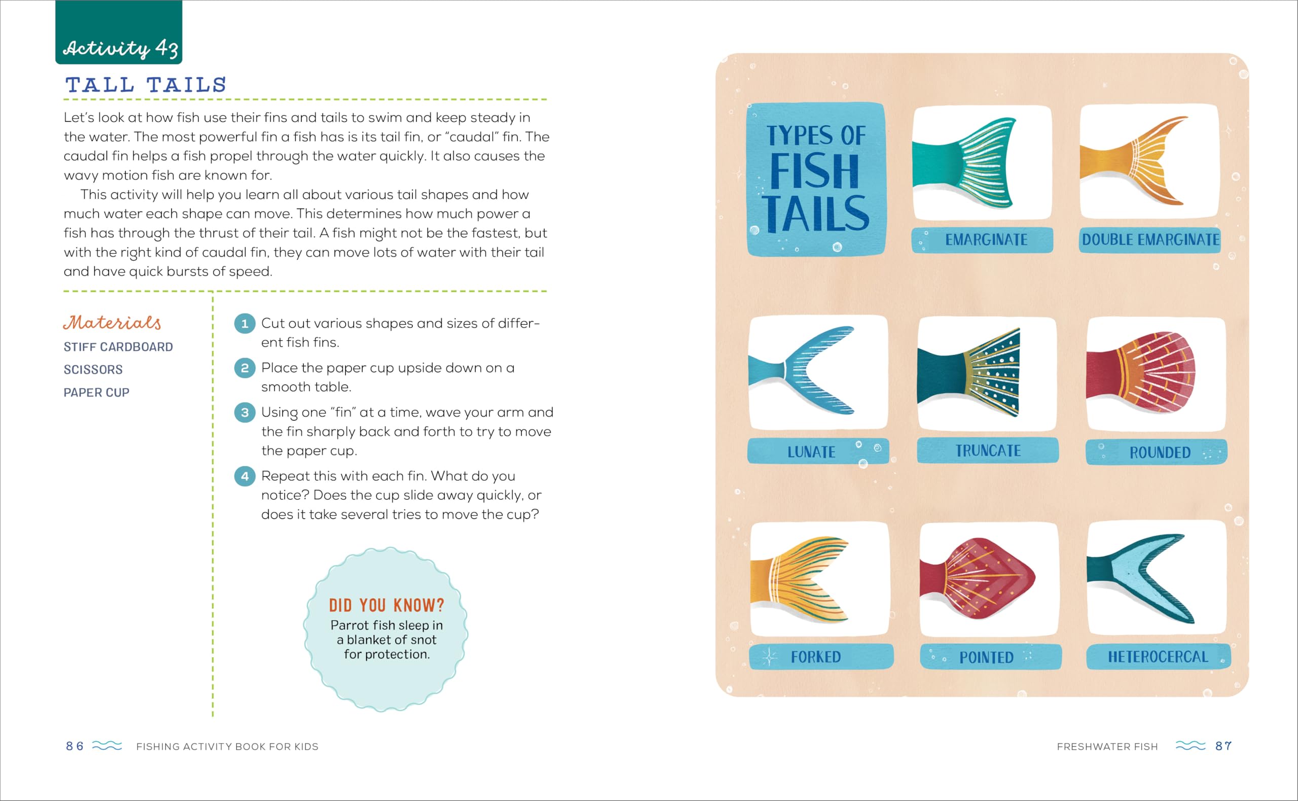 Fishing Activity Book for Kids: 50 Creative Projects to Inspire Curious Anglers (Exploring for Kids Activity Books and Journals) Fishing Activity Book for Kids: 50 Creative Projects to Inspire Curious Anglers (Exploring for Kids Activity Books and Journals) Paperback Kindle