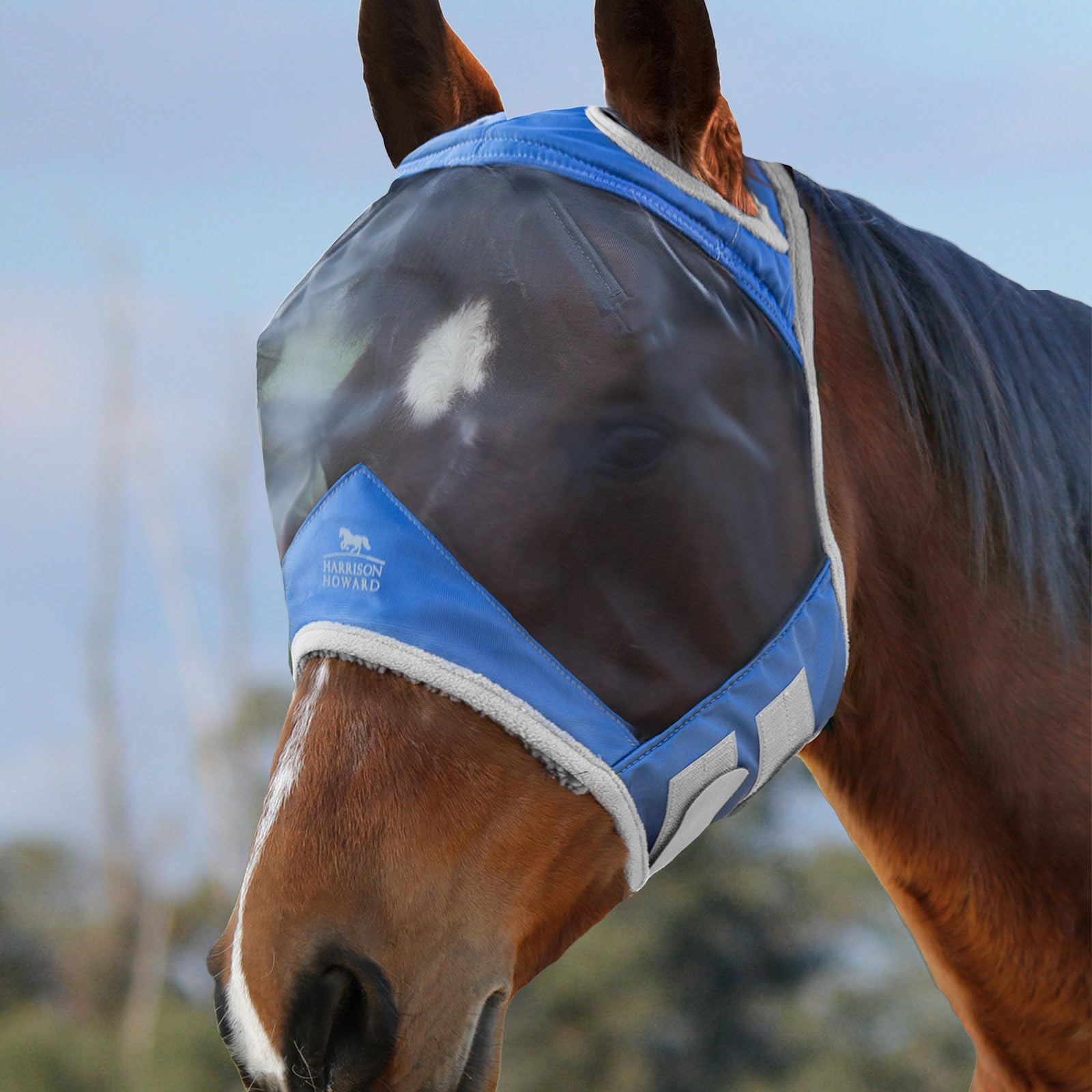 Harrison Howard CareMaster Pro Luminous Fine Mesh UV-proof Fleece Padding Fly Mask Standard Aquamarine M Cob