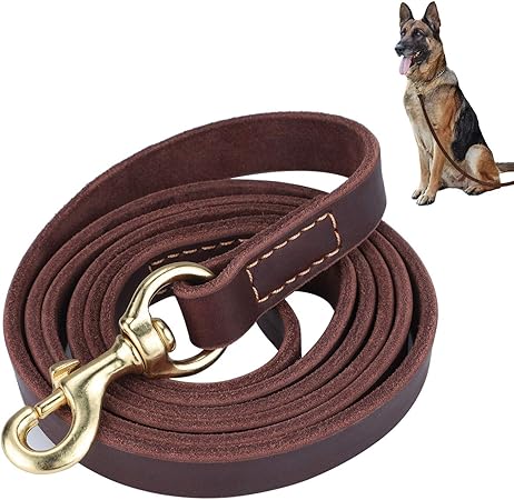 amazon leather leash