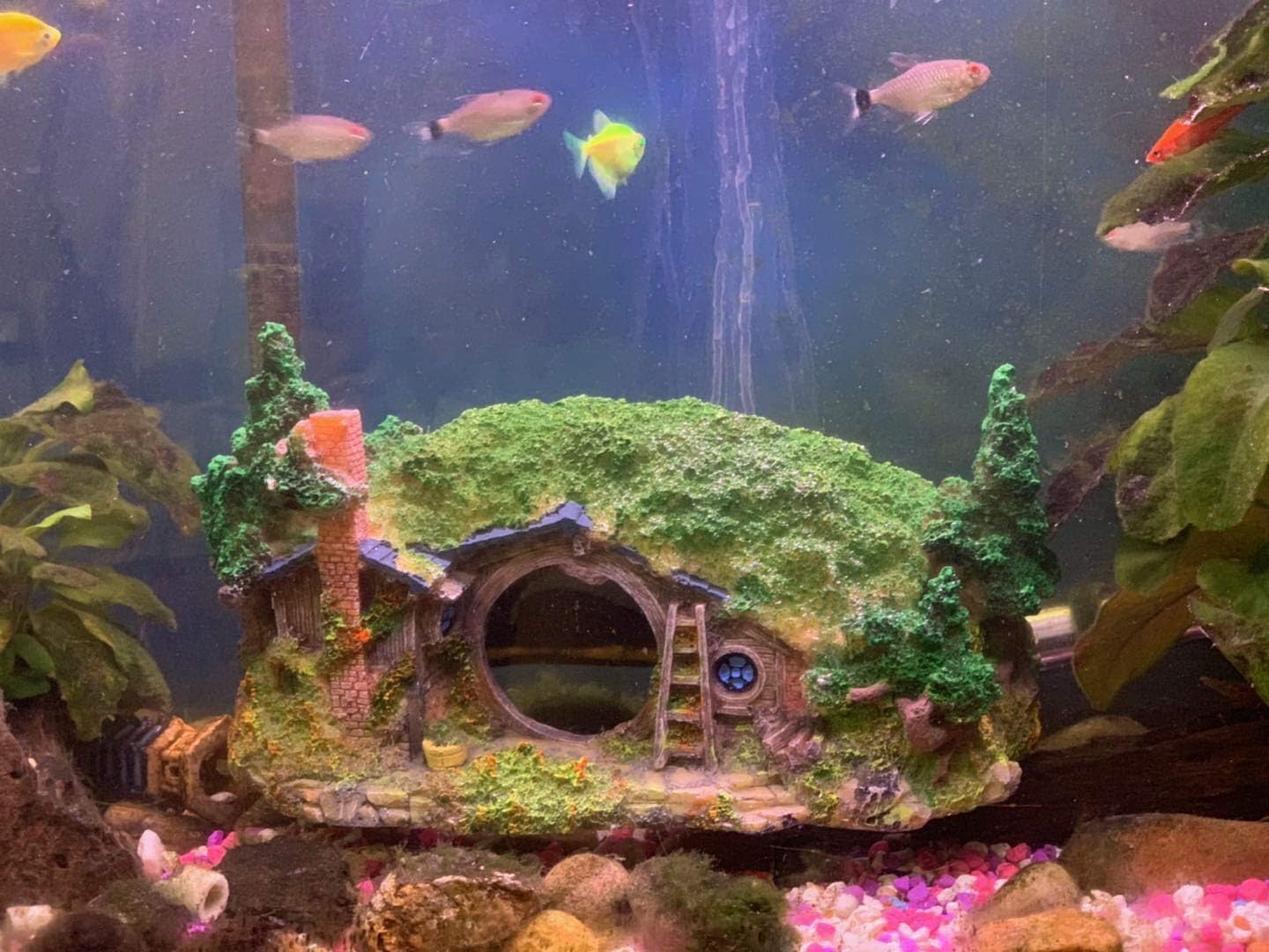 Get Axolotl Aquarium Deko Gif