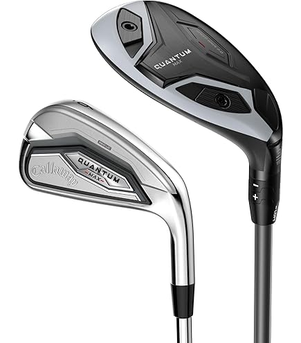Amazon.com: WD LH QTM MAX 3FW DENFRSTSLV 60GRREG : Sports & Outdoors