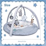 MomTend Baby Play Mat Activity Gym with 5 Detachable Toys 0-36 Months view 5