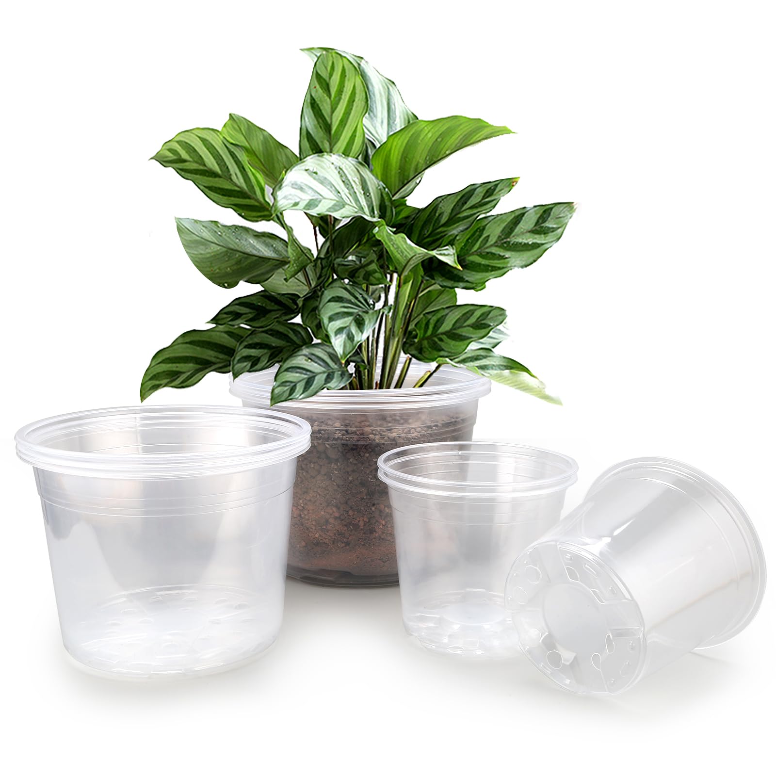 Photo 1 of FUOAUYK 7/8/9 Inch Large Clear Nursery Pots with Drainage, 9 Pack Plastic Pots for Plants, Clear Plant Seedling Pots for Indoor & Outdoor Gardening