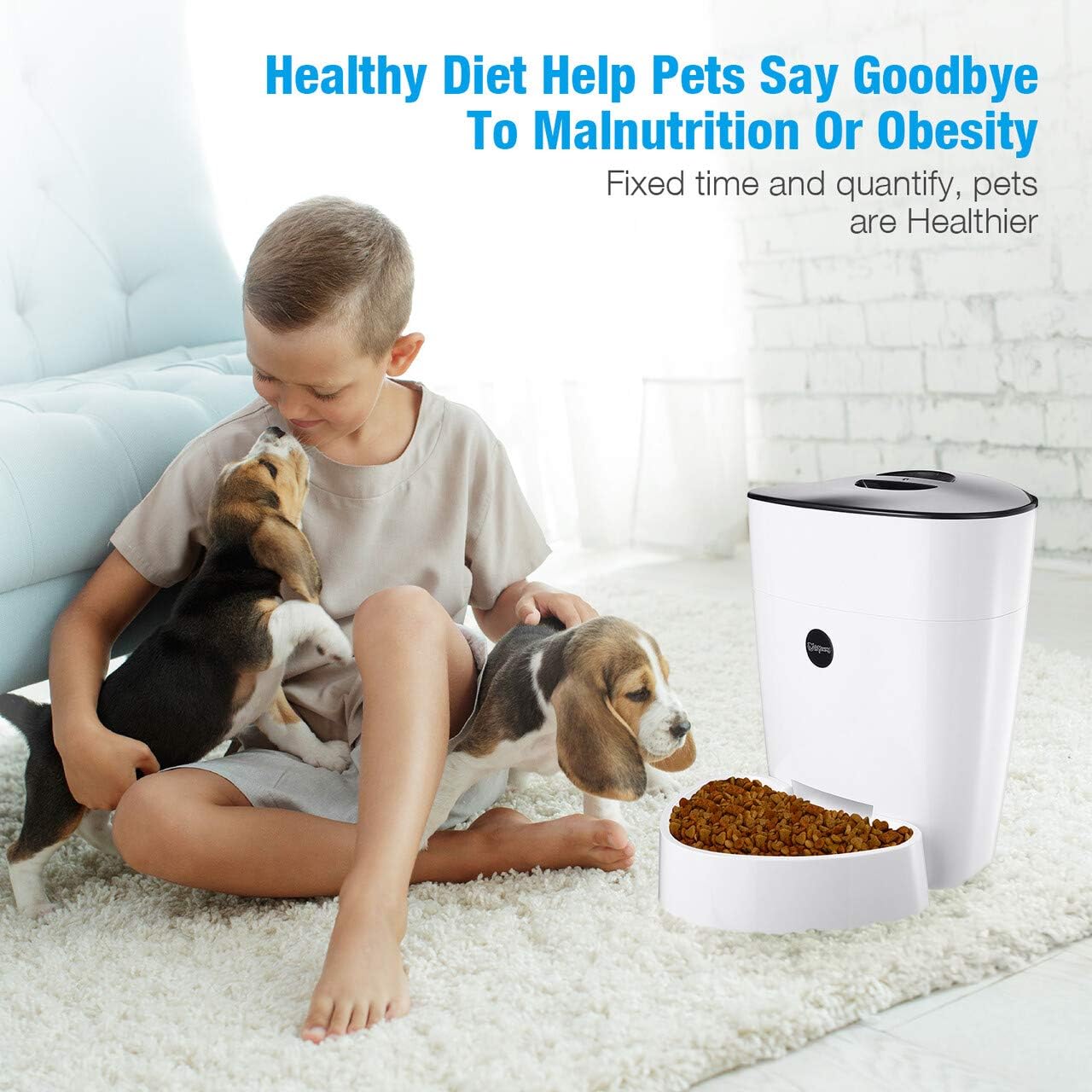 Pet Supplies : isYoung Automatic Cat Feeder, 4L Smart Pet Feeder for Cat & Dog - 6 Meal, LCD Display with Timer Programmable, Portion Control - Battery/Plug-in Power : 