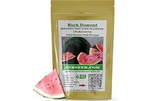 Black Diamond Watermelon Seeds for Planting (Approx. 20 Seed- 3 Gram) High-Yield Harvest & Delicious and Sweet
