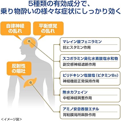 Amazon 指定第2類医薬品 アネロン ニスキャップ 9カプセル アネロン 乗り物酔い止め