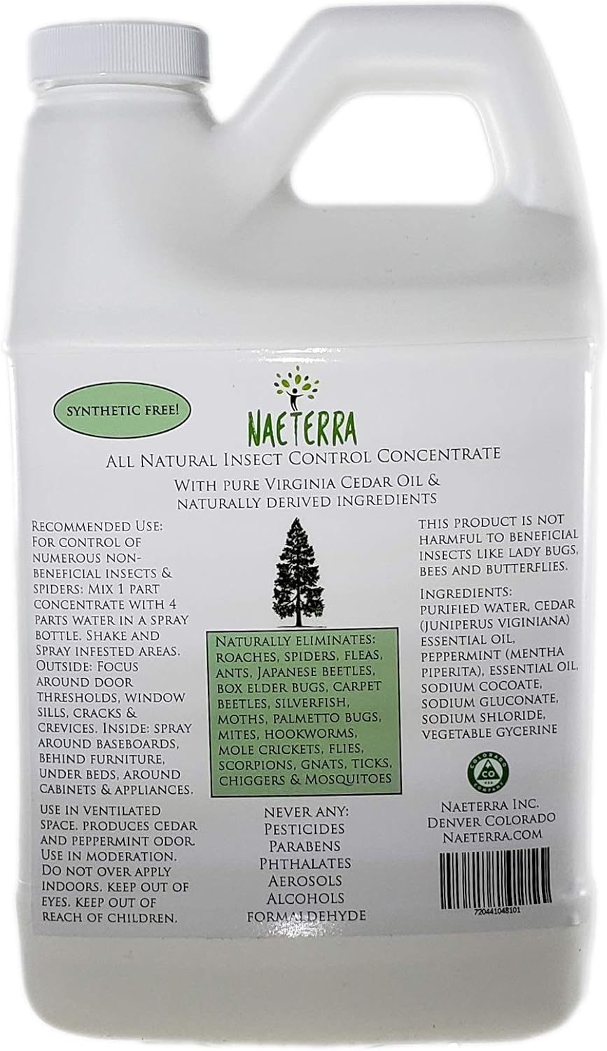 Best Natural Carpet Beetle Killer