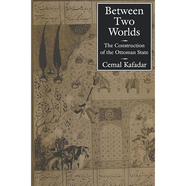 Empire and Education under the Ottomans: Politics, Reform and