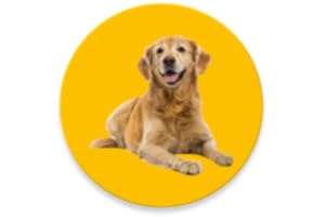 Dog Sounds - Barking, Howling, Growling