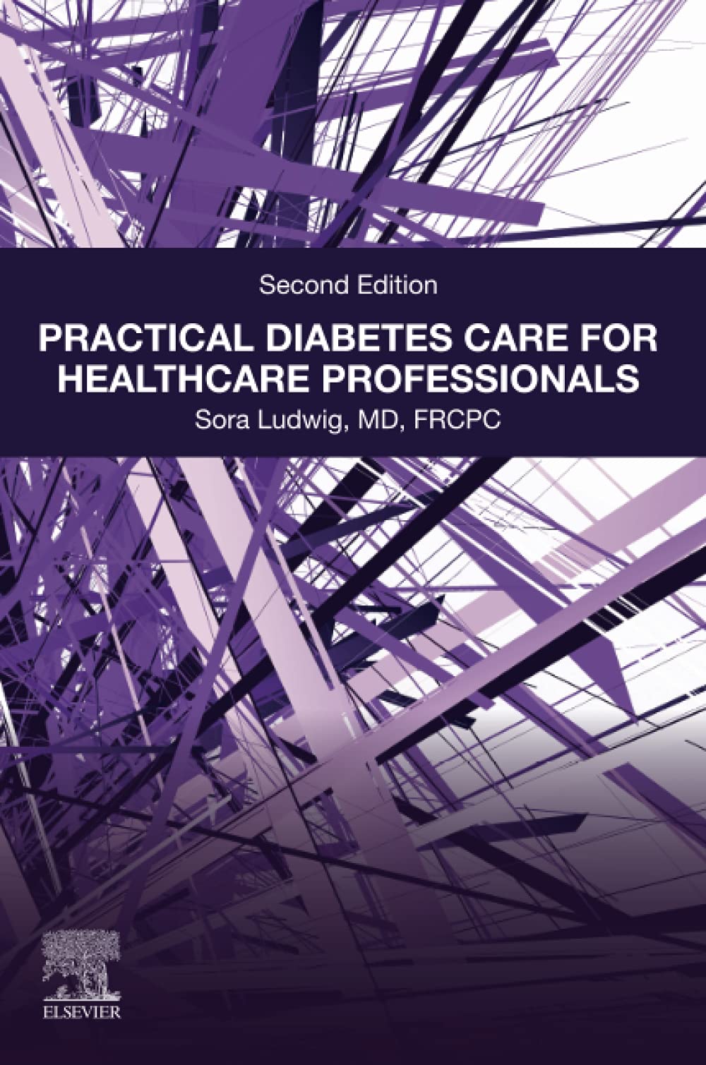 Practical Diabetes Care for Healthcare Professionals Shop Well