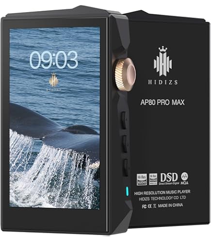 Amazon.com: iBasso DX120 High Performance Digital Audio Player