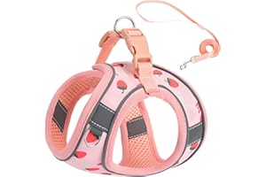 FLYMIND Step in Dog Harness and Leash Set, Flower Adjustable Easy Walk Puppy Harnesses, Soft Mesh No Pull Pet Vest Harness for Small Medium Dogs(Strawberry, S)
