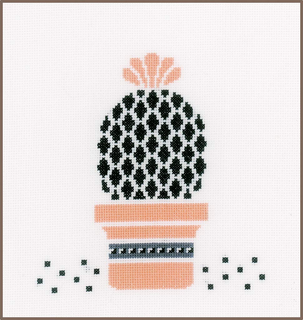 Vervaco Counted Cross Stitch Kit Succulent aida, Cotton Blend, Assorted, 25.5 x 2.8 x 17.8 cm