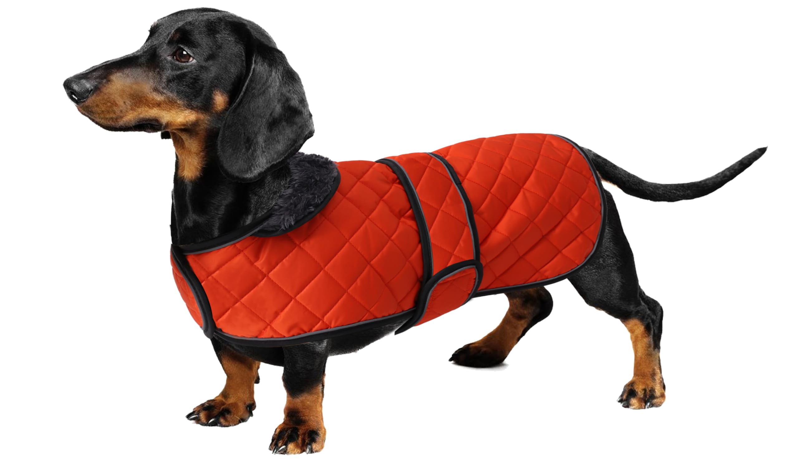 Geyecete Warm Thermal Quilted Dachshund Coat, Dog Winter Coat with Warm Fleece Lining, Outdoor Dog Apparel with Adjustable Bands for Medium, Large Dog-Orange-S