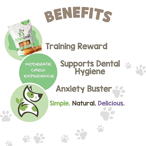 NATURE GNAWS BEEF TRACHEA CHEWS FOR DOGS 6″ (6 COUNT) – LONG LASTING NATURAL CRUNCHY DOG CHEW BONES – RAWHIDE FREE