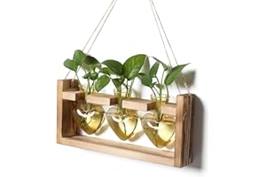 RCXSIGNS Plant Terrarium Unique Birthday Gift for Women Wall Planters for Indoor Hydroponic Plant Propagation Stations Heart Shaped Glass Vase with Wooden Stand
