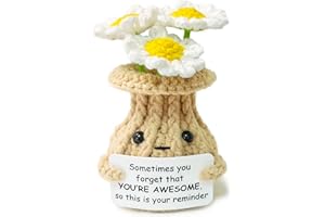 RFUYIR Positive Crochet Daisy Inspirational Gift for Women - Sometimes You Forget You're Awesome - Handmade Knitted Potted Plant Decor Appreciation Thank You Gifts for Women, Coworker, Friend, Teacher