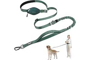 MIDOG Multifunctional Dog Leash Hands Free for Large Dogs - Adjustable Waist Leash with Zipper Pounch& Bungee Cord for Jogging/Running/Walking(4-7FT,Green)