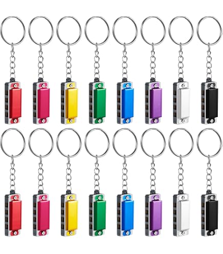 Amazon.com: Hohner Accordions M108 Keychain, Original Version