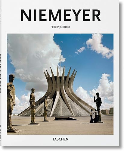 Download BA-Niemeyer PDF