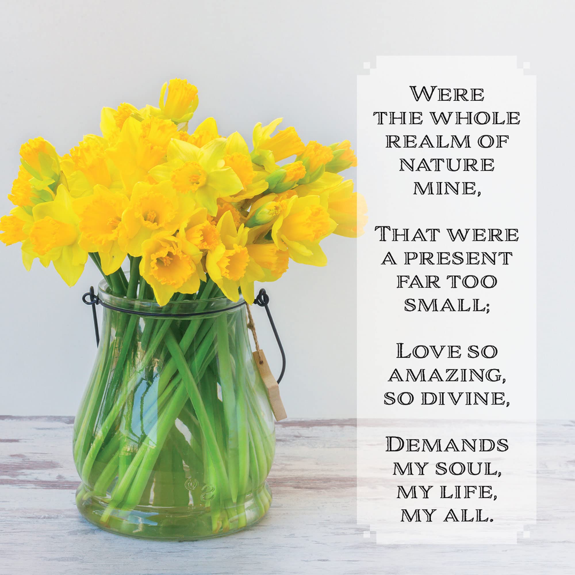 Religious Easter Cards - Were the Whole Realm, pack of 5 with white envelopes and Bible verse inside these Christian Easter cards, by Just Cards Direct