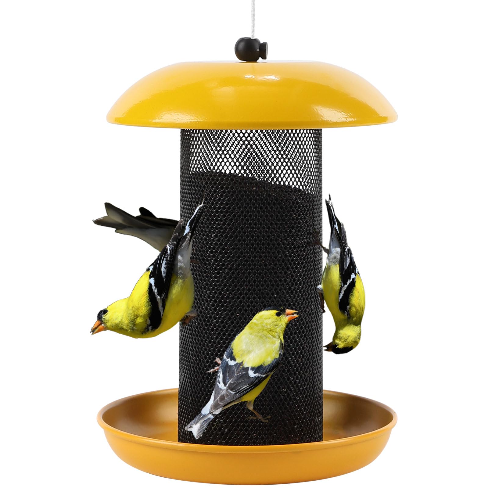 Photo 1 of Meleave Finch Feeders for Outside, Finch Feeder for Nyjer/Thistle Seed, 2.5 lbs Seed Capacity